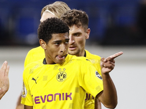 的适应能力 的适应能力